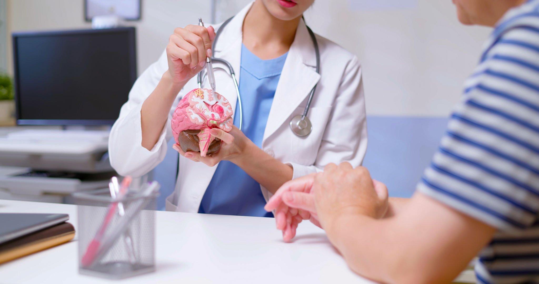 a doctor expalaining the working of the brain to a patient