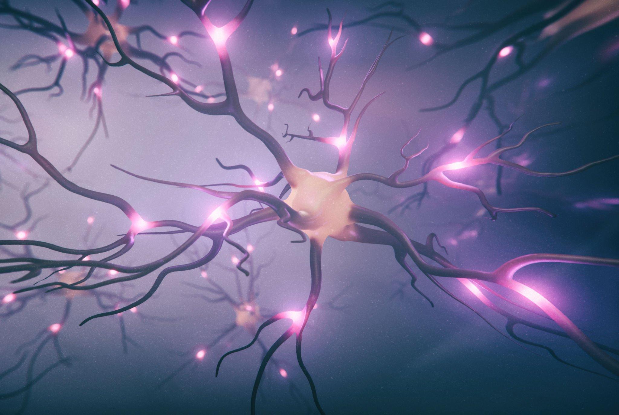an image of nerves